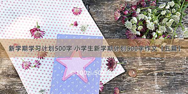 新学期学习计划500字 小学生新学期计划500字作文【五篇】