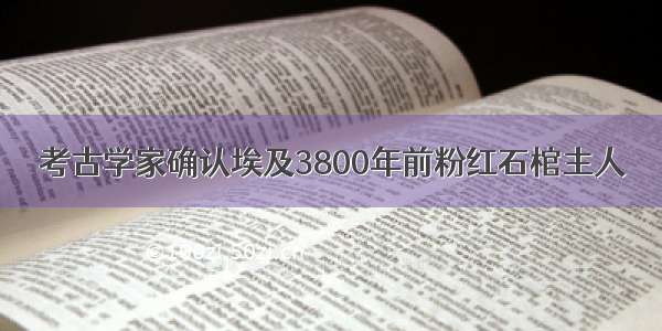 考古学家确认埃及3800年前粉红石棺主人