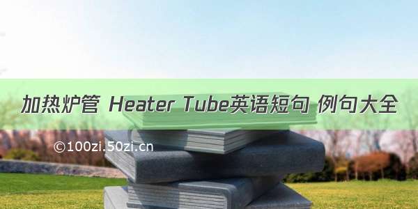 加热炉管 Heater Tube英语短句 例句大全