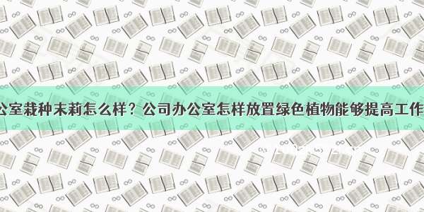 公司办公室栽种末莉怎么样？公司办公室怎样放置绿色植物能够提高工作中运程？