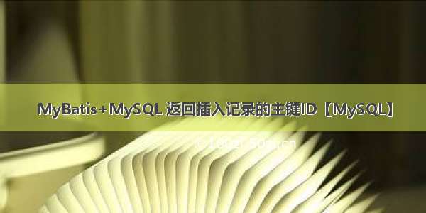 MyBatis+MySQL 返回插入记录的主键ID【MySQL】