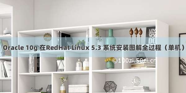 Oracle 10g 在RedHat Linux 5.3 系统安装图解全过程（单机）