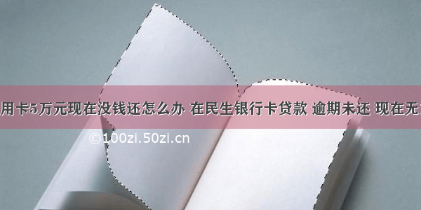 欠民生信用卡5万元现在没钱还怎么办 在民生银行卡贷款 逾期未还 现在无力偿还 该