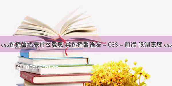 css选择器代表什么意思 类选择器语法 – CSS – 前端 限制宽度 css