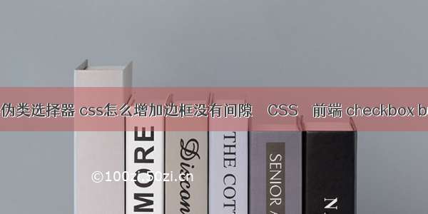 css超链接伪类选择器 css怎么增加边框没有间隙 – CSS – 前端 checkbox button css