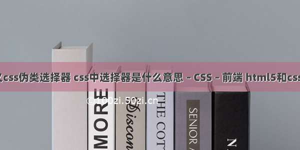 如何自定义css伪类选择器 css中选择器是什么意思 – CSS – 前端 html5和css3参考手册