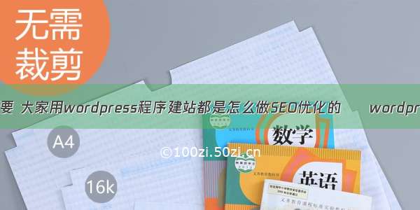 wordpress 摘要 大家用wordpress程序建站都是怎么做SEO优化的 – wordpress – 前端