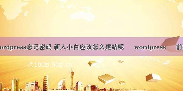 wordpress忘记密码 新人小白应该怎么建站呢 – wordpress – 前端