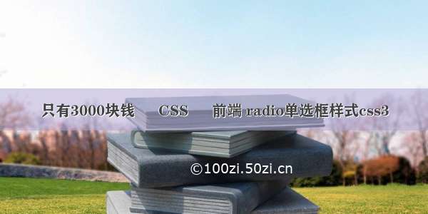 只有3000块钱 – CSS – 前端 radio单选框样式css3