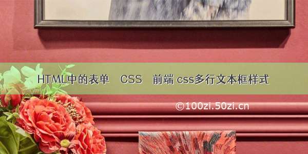 HTML中的表单 – CSS – 前端 css多行文本框样式