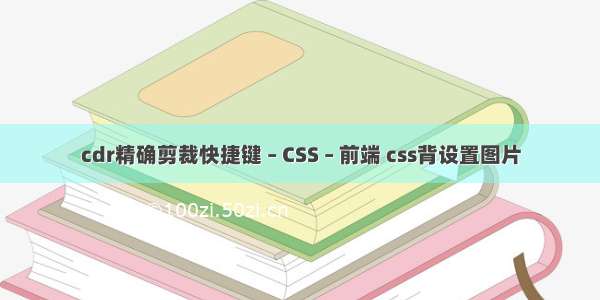 cdr精确剪裁快捷键 – CSS – 前端 css背设置图片