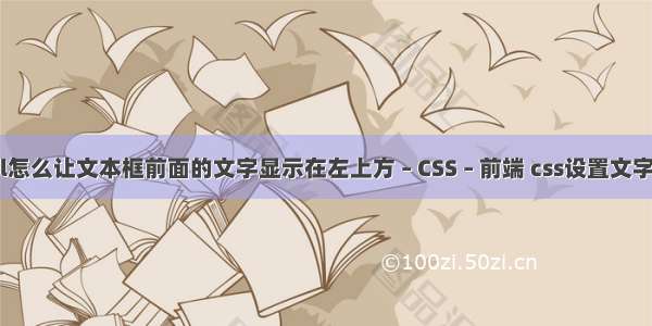 html怎么让文本框前面的文字显示在左上方 – CSS – 前端 css设置文字竖排