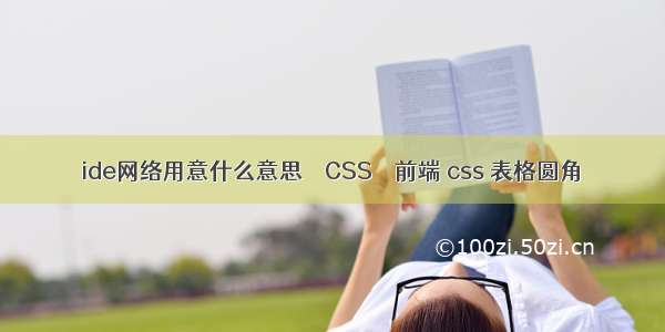ide网络用意什么意思 – CSS – 前端 css 表格圆角