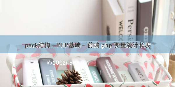 pack结构 – PHP基础 – 前端 php 变量统计长度