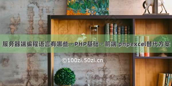 服务器端编程语言有哪些 – PHP基础 – 前端 phpexcel替代方案