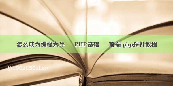 怎么成为编程大牛 – PHP基础 – 前端 php探针教程