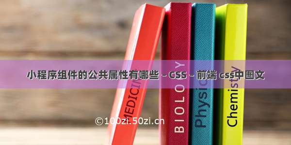 小程序组件的公共属性有哪些 – CSS – 前端 css中图文