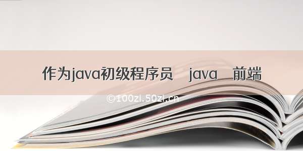 作为java初级程序员 – java – 前端