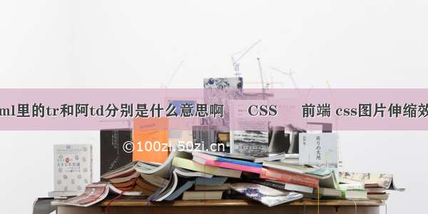 html里的tr和阿td分别是什么意思啊 – CSS – 前端 css图片伸缩效果