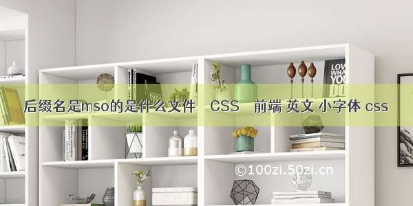 后缀名是mso的是什么文件 – CSS – 前端 英文 小字体 css