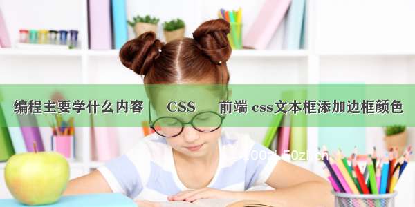 编程主要学什么内容 – CSS – 前端 css文本框添加边框颜色