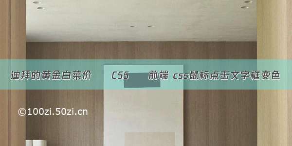 迪拜的黄金白菜价 – CSS – 前端 css鼠标点击文字框变色