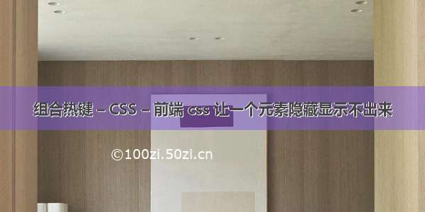 组合热键 – CSS – 前端 css 让一个元素隐藏显示不出来