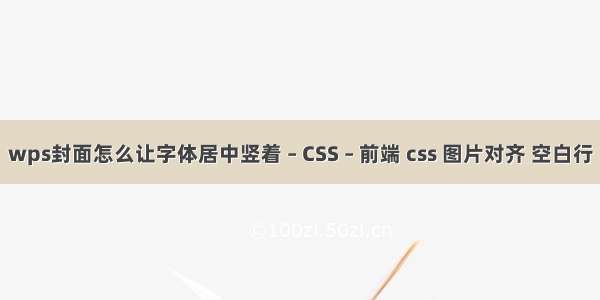 wps封面怎么让字体居中竖着 – CSS – 前端 css 图片对齐 空白行