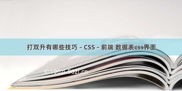 打双升有哪些技巧 – CSS – 前端 数据表css界面