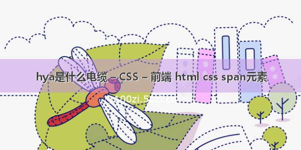 hya是什么电缆 – CSS – 前端 html css span元素