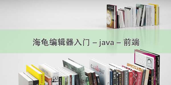 海龟编辑器入门 – java – 前端