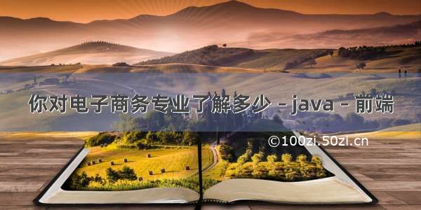 你对电子商务专业了解多少 – java – 前端