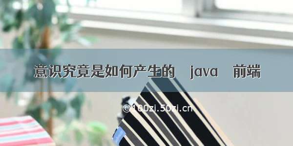 意识究竟是如何产生的 – java – 前端