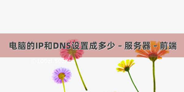 电脑的IP和DNS设置成多少 – 服务器 – 前端