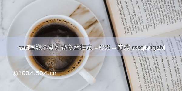 cad里找不到引线设置样式 – CSS – 前端 cssqiangzhi