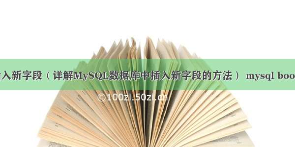 MySQL插入新字段（详解MySQL数据库中插入新字段的方法） mysql boolean bool