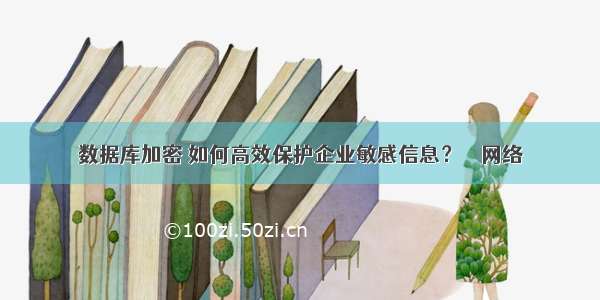 数据库加密 如何高效保护企业敏感信息？ – 网络