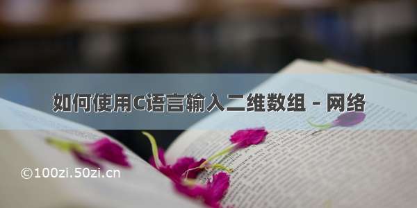 如何使用C语言输入二维数组 – 网络