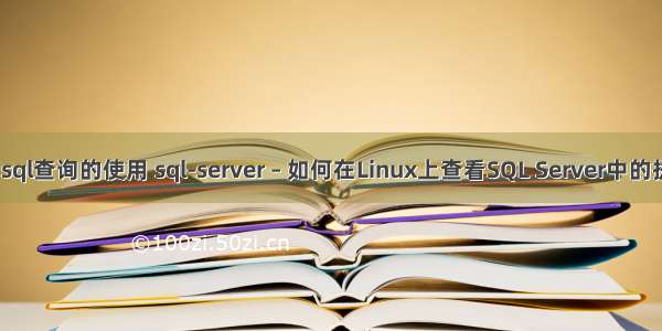 linux下sql查询的使用 sql-server – 如何在Linux上查看SQL Server中的执行计划