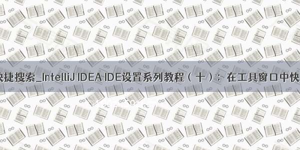 ieda中快捷搜索_IntelliJ IDEA IDE设置系列教程（十）：在工具窗口中快速搜索