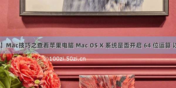 【BETA】Mac技巧之查看苹果电脑 Mac OS X 系统是否开启 64 位运算 以及设置 3