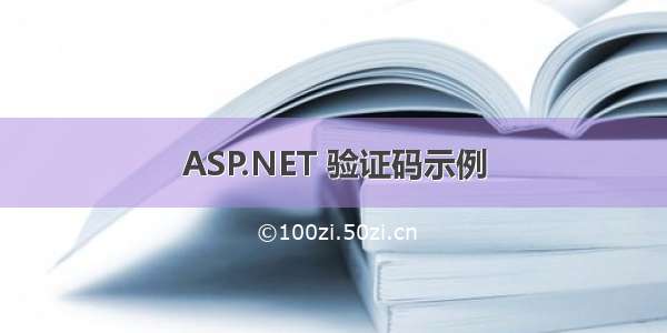 ASP.NET 验证码示例