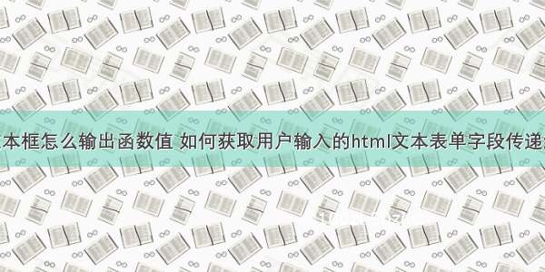 html表单文本框怎么输出函数值 如何获取用户输入的html文本表单字段传递给javascript