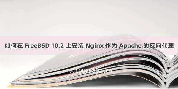 如何在 FreeBSD 10.2 上安装 Nginx 作为 Apache 的反向代理