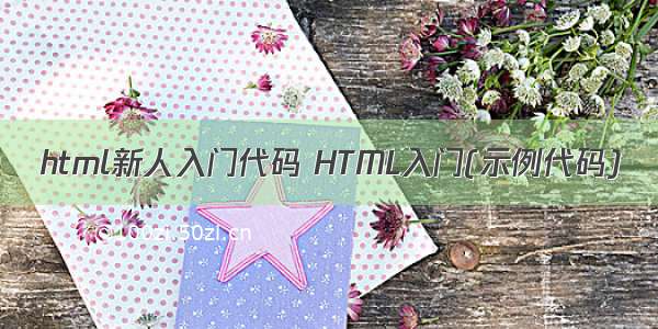 html新人入门代码 HTML入门(示例代码)