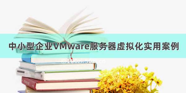 中小型企业VMware服务器虚拟化实用案例