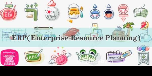 ERP(Enterprise Resource Planning)