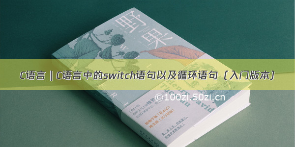 C语言 | C语言中的switch语句以及循环语句（入门版本）