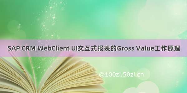 SAP CRM WebClient UI交互式报表的Gross Value工作原理