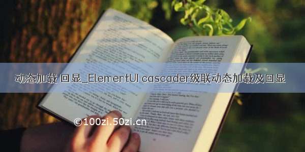 动态加载 回显_ElementUI cascader级联动态加载及回显